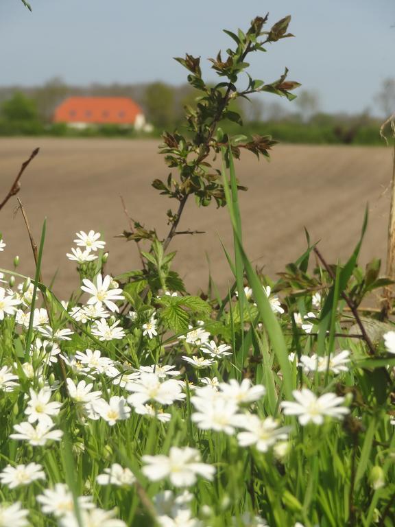 Land & Meer Hasselberg  Exteriér fotografie