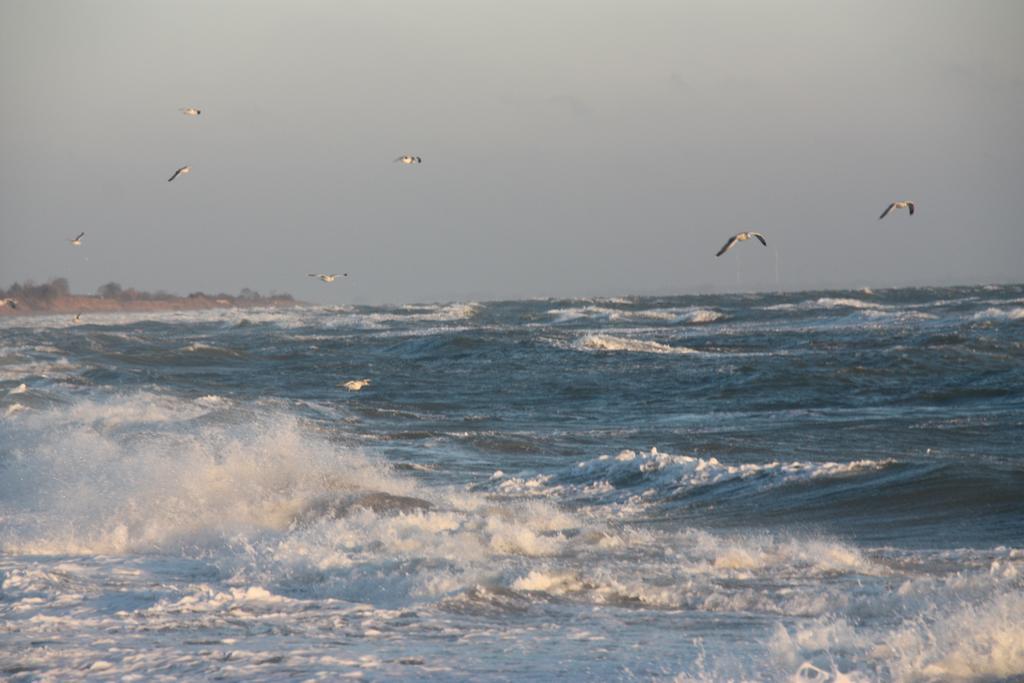 Land & Meer Hasselberg  Exteriér fotografie
